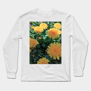 Dandelions - Variation in Lighting - Early Spring Blooms Long Sleeve T-Shirt